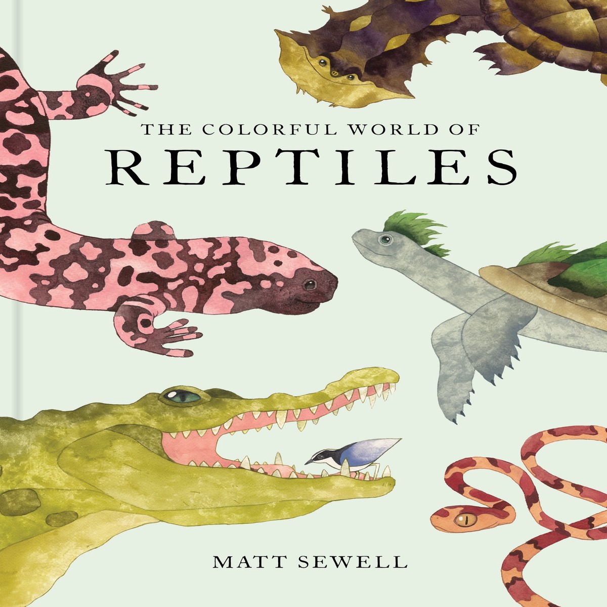 Colorful World of Reptiles