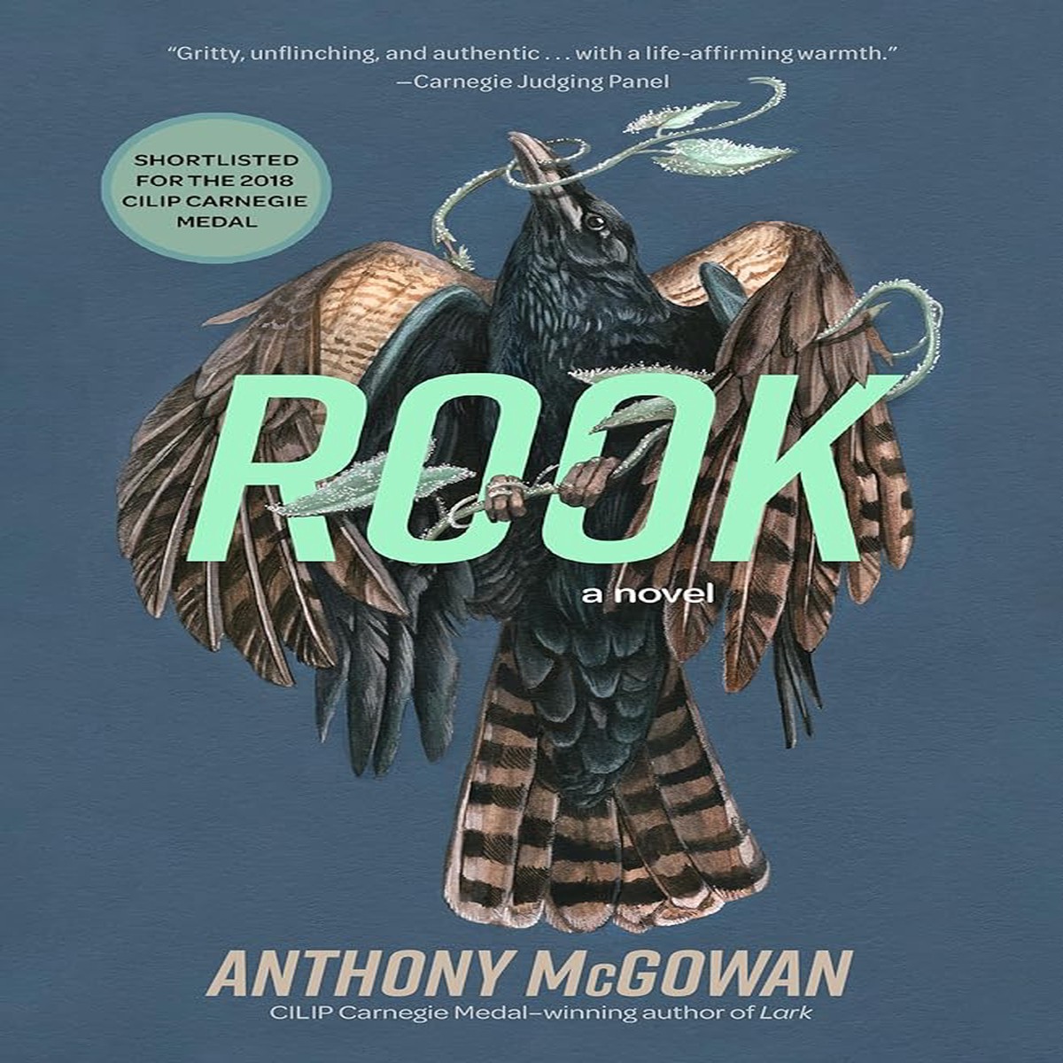 Rook A Novel (Everyone Can Be a Reader)