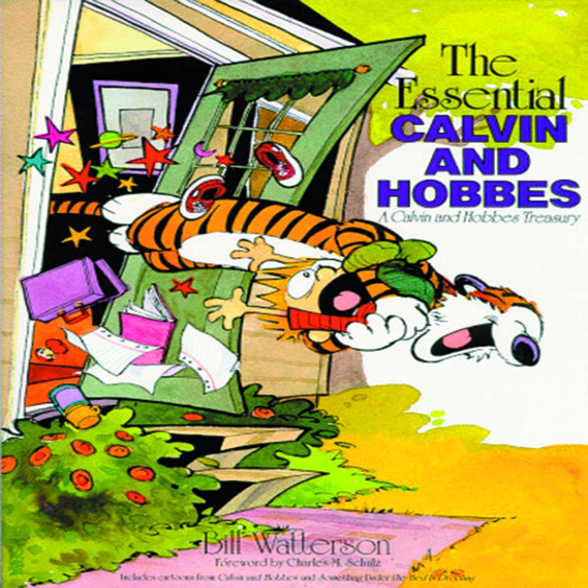 CALVIN HOBBES ESSENTIAL NEW PTG