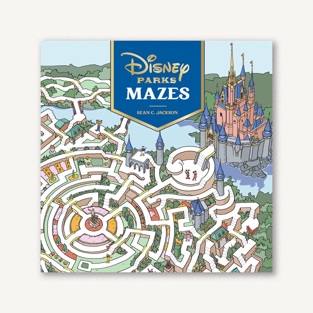 Disney Parks Mazes