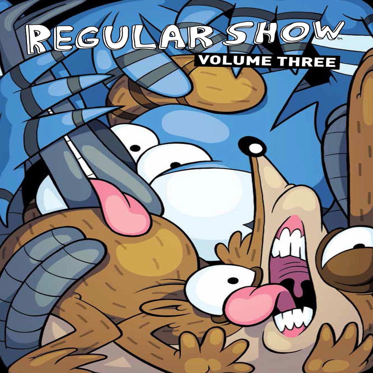 REGULAR SHOW TP VOL 03 (C 1-0-0)