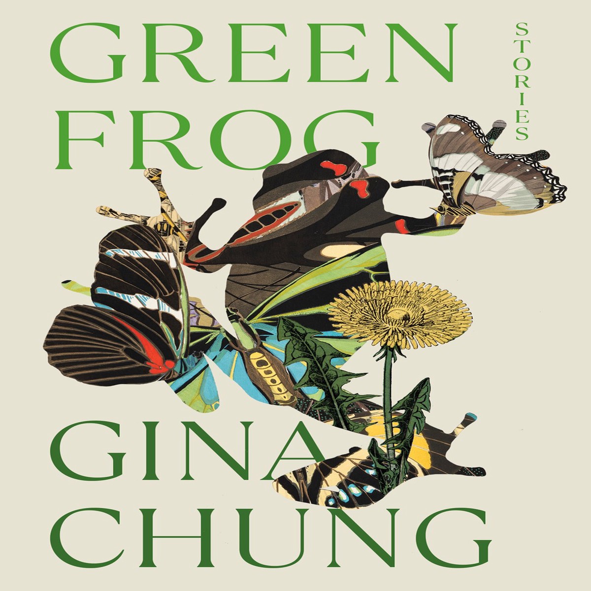 Green Frog And Other Stories by Gina Chung (Paperback)