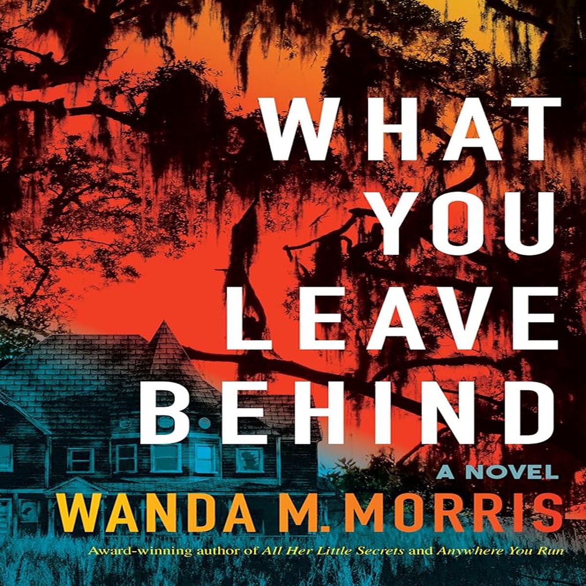 What You Leave Behind A Novel by Wanda M Morris