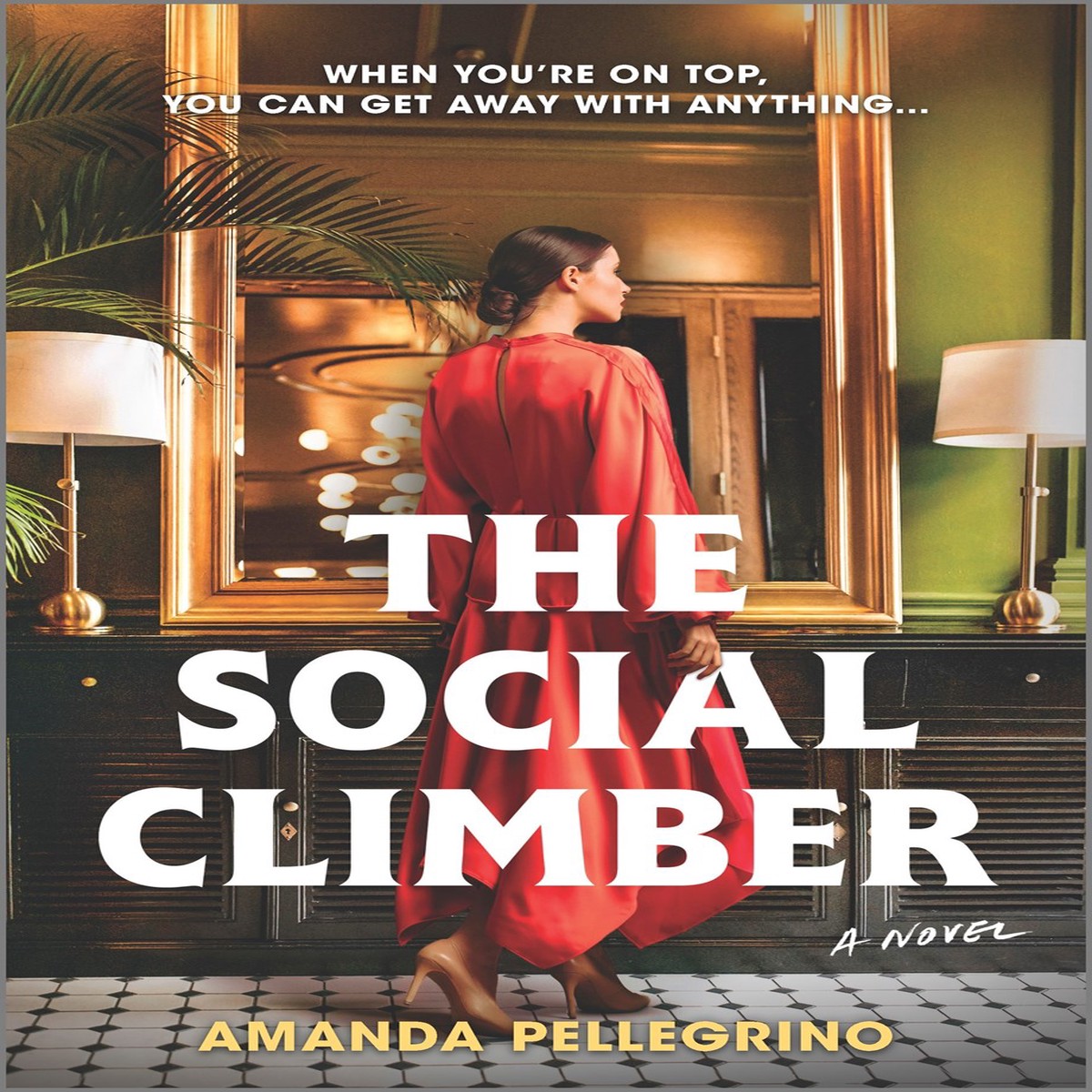The Social Climber A Novel