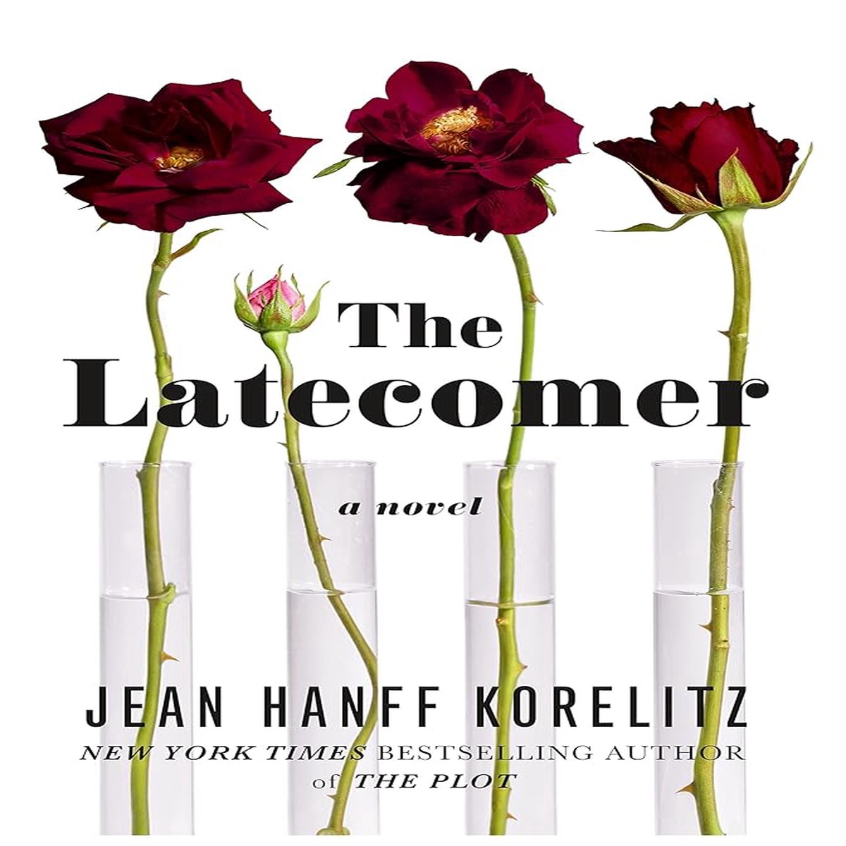 The Latecomer A Novel