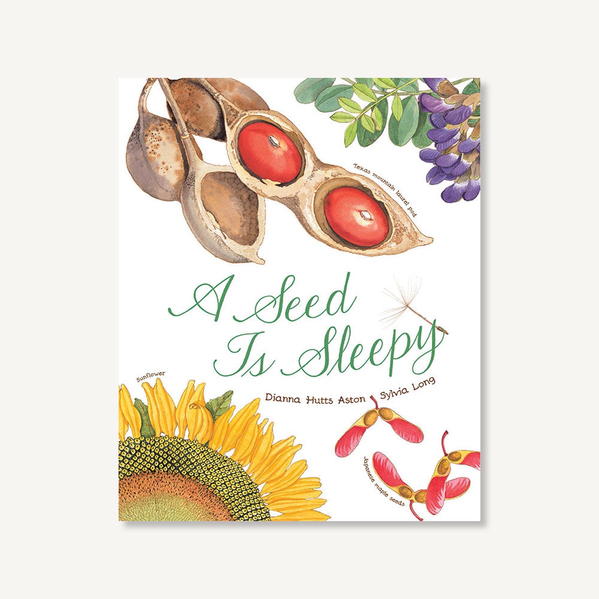 A Seed Is Sleepy