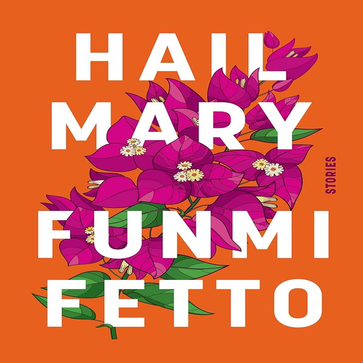 Hail Mary Stories by Funmi Fetto (Hardcover)