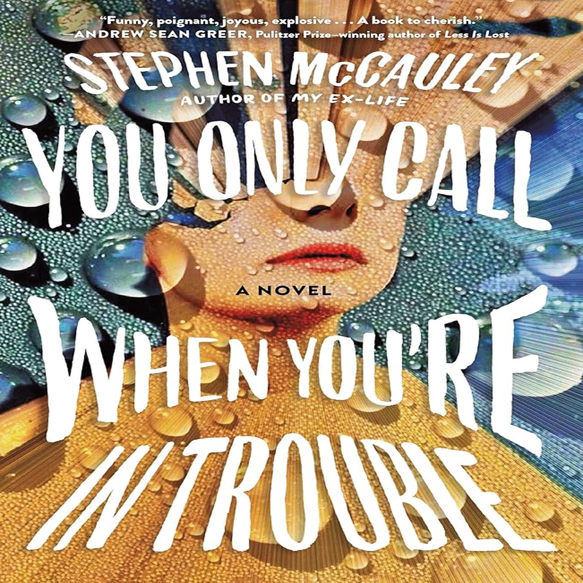 You Only Call When Youre in Trouble A Novel