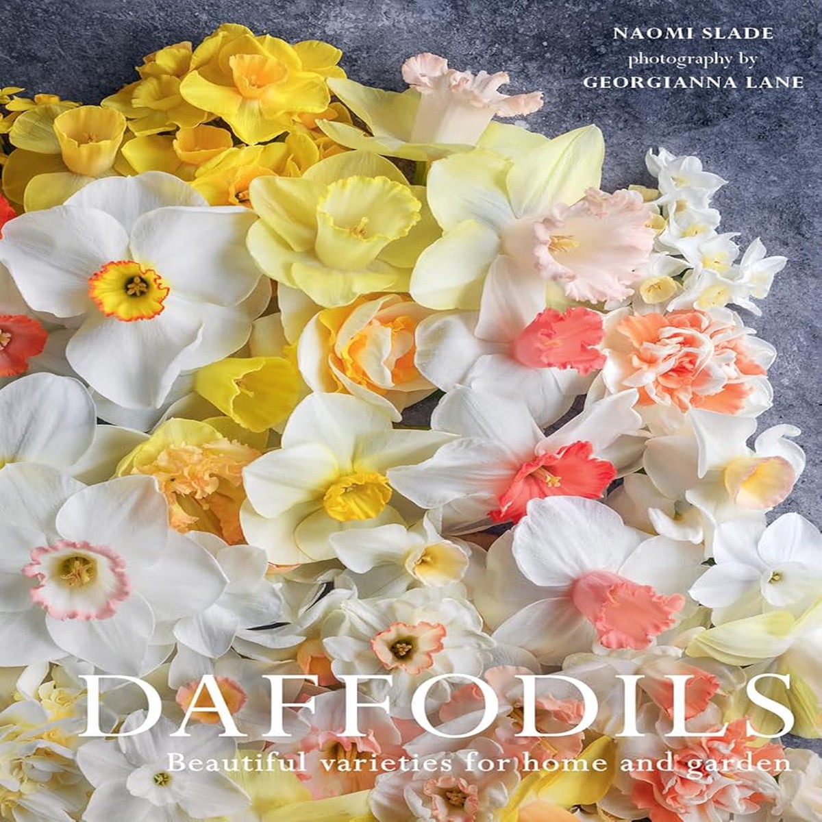 Daffodils Beautiful Varieties for Home and Garden