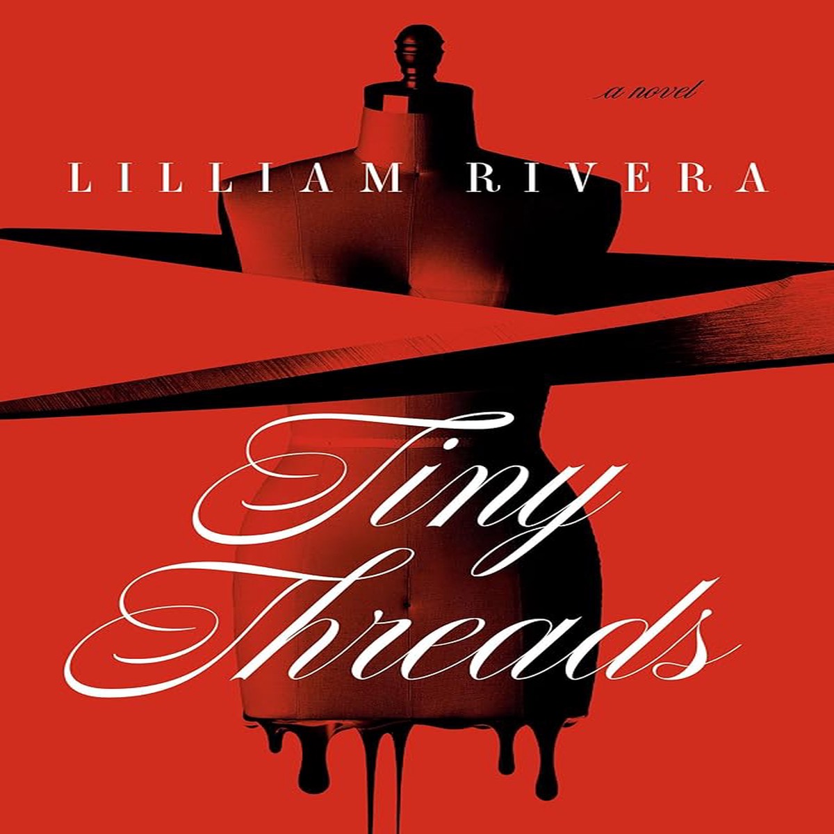 Tiny Threads A Novel by Lilliam Rivera (Hardcover)