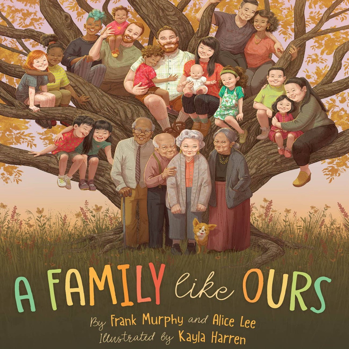 A Family Like Ours by Frank Murphy Alice Lee (Hardcover)
