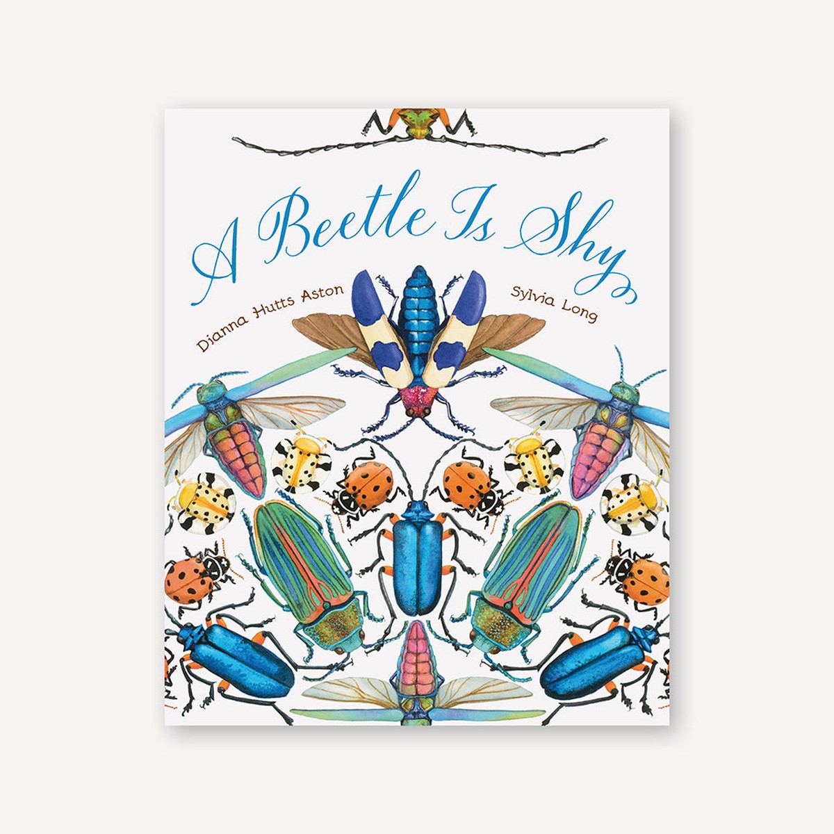 A Beetle Is Shy
