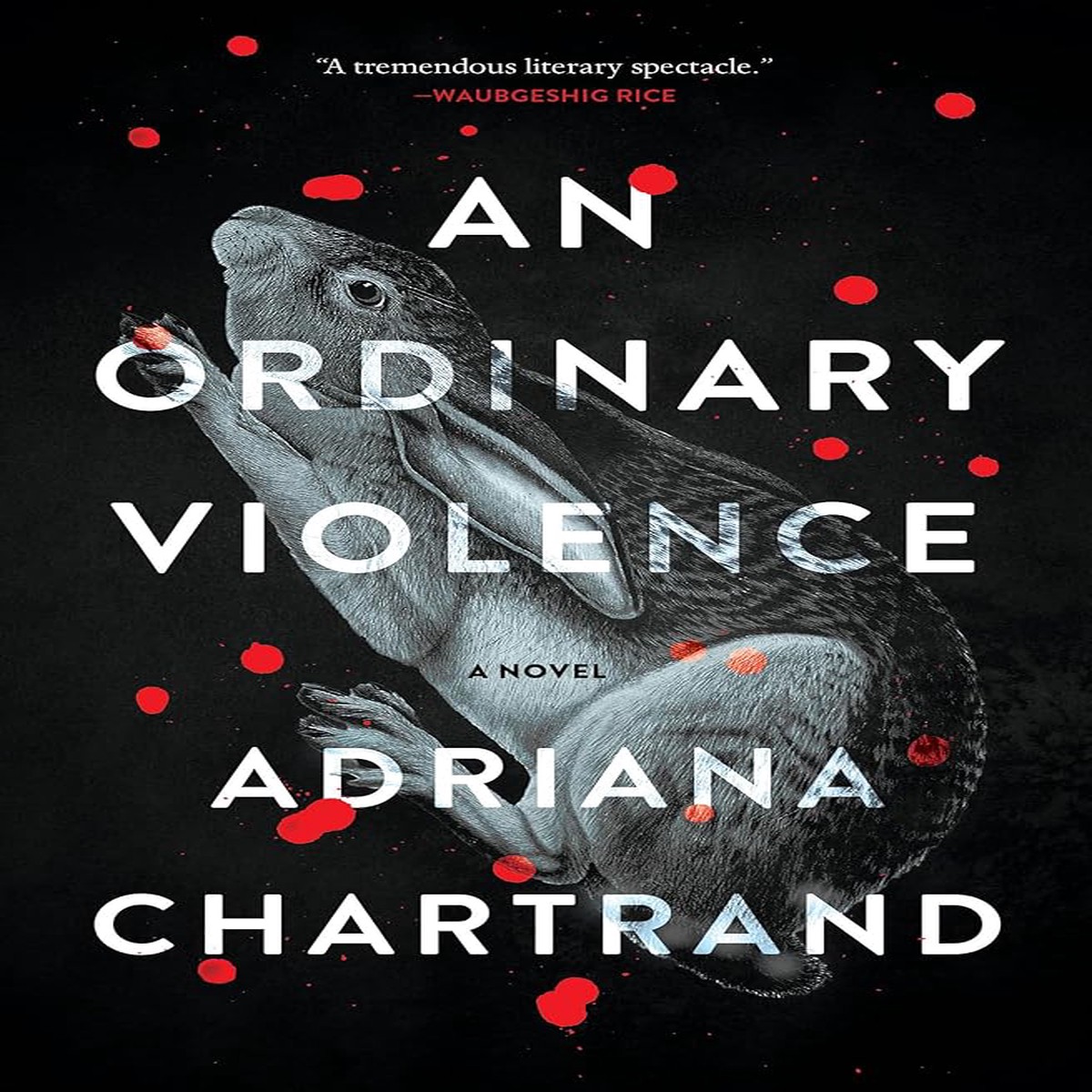 An Ordinary Violence A Novel by Adriana Chartrand (Paperback)