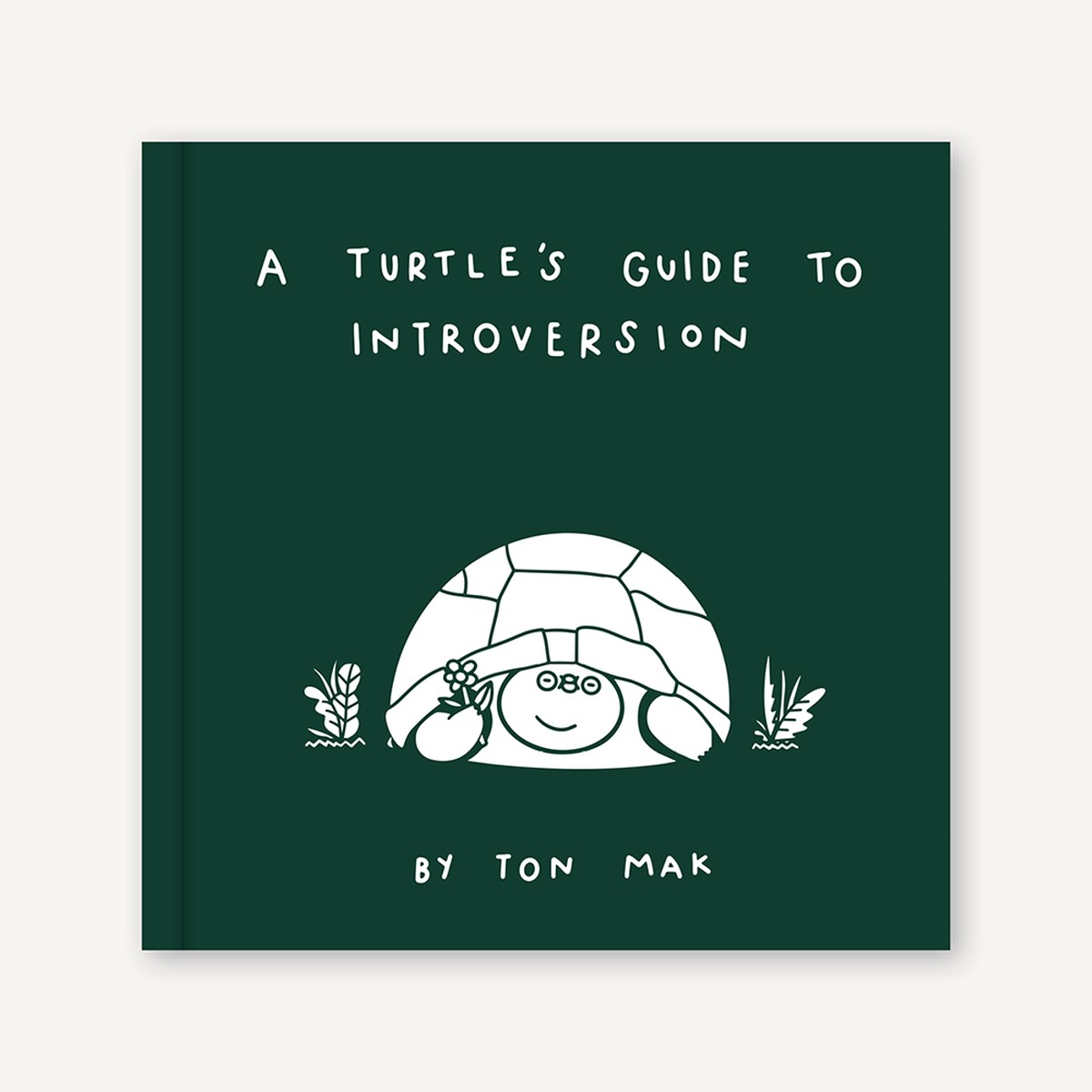 A Turtles Guide to Introversion