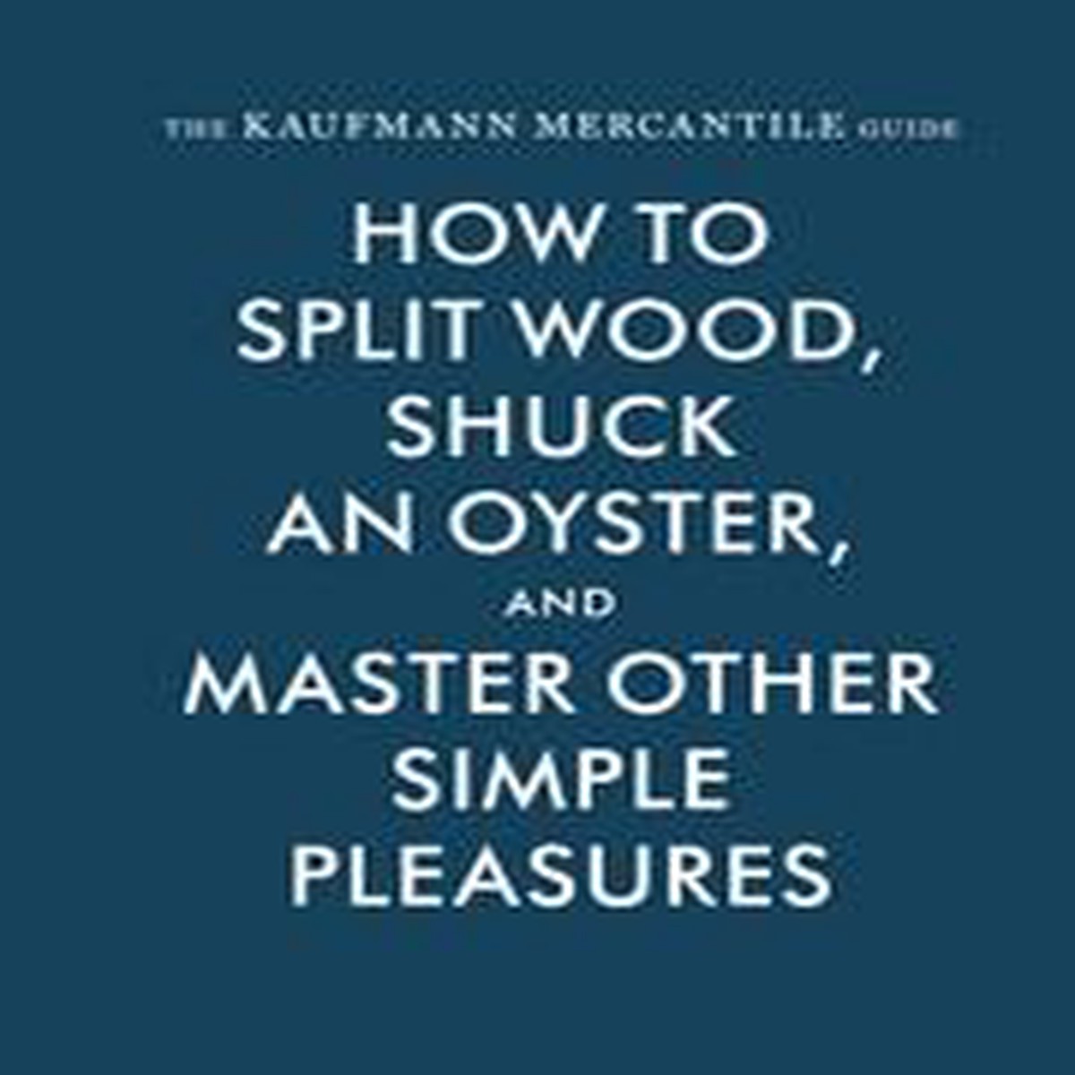 Kaufmann Mercantile Guide