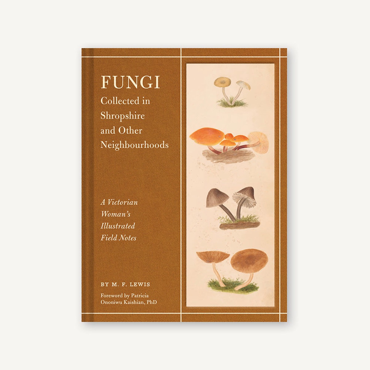 Fungi Collected in Shropshire and Other Neighbourhoods