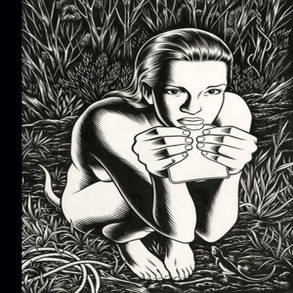 Charles Burnss Black Hole The Fantagraphics Studio Edition