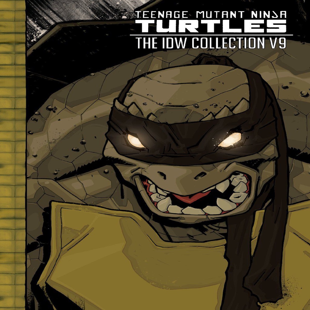 TMNT The IDW Collection Vol 9