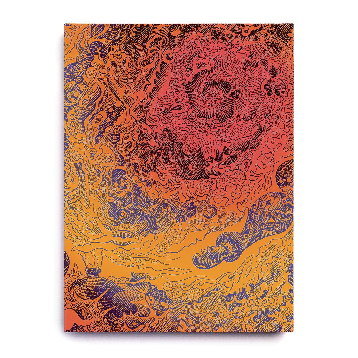 A VOYAGE TO ARCTURUS HC