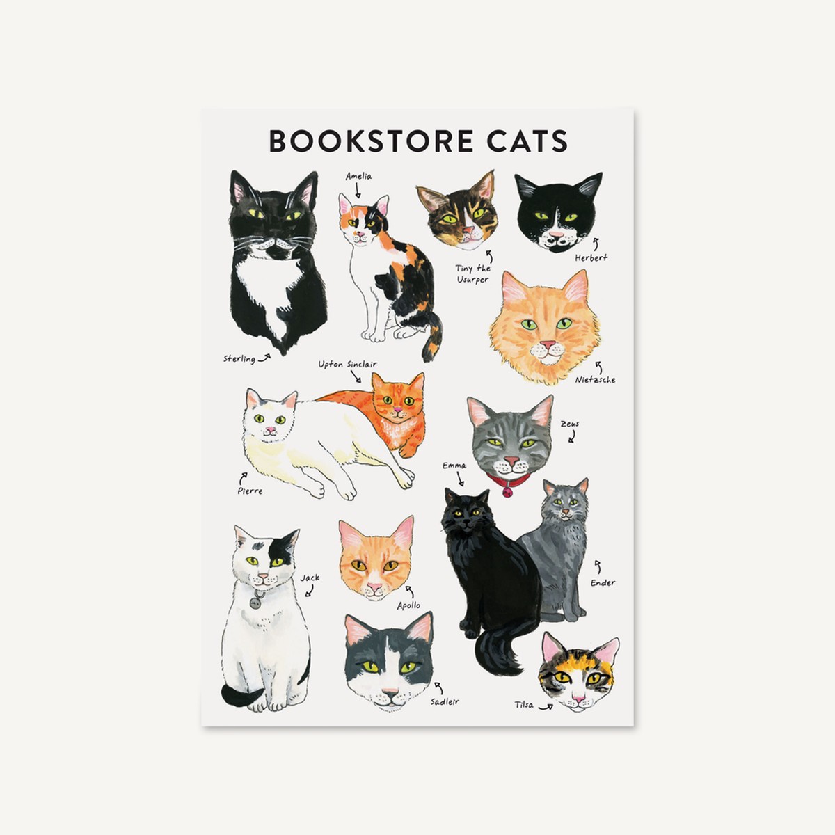 Bibliophile Flexi Journal Bookstore Cats