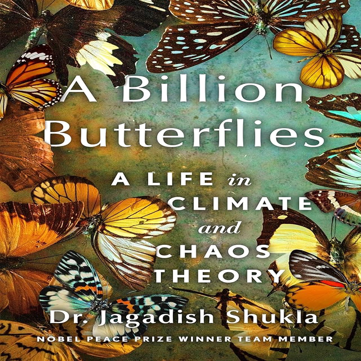 A Billion Butterflies A Life in Climate and Chaos Theory