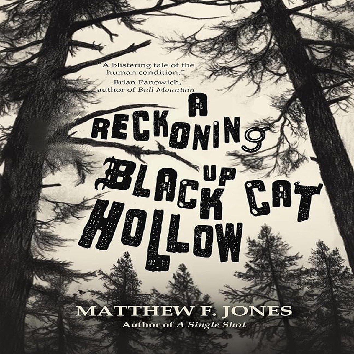 A Reckoning Up Black Cat Hollow