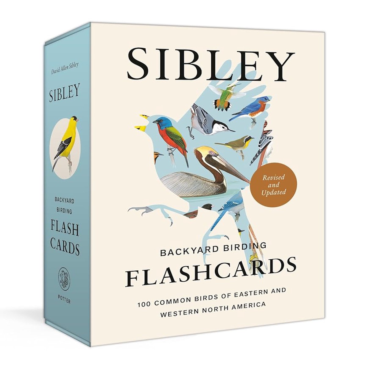 Sibley Backyard Birding Flashcards Revised and Updated 100 Common Birds of Eastern and Western North America (Sibley Birds)