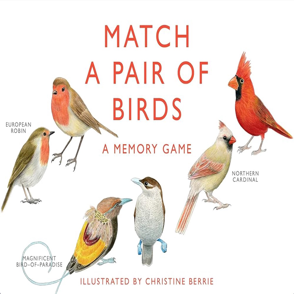 Laurence King Publishing Match a Pair of Birds A Memory Game