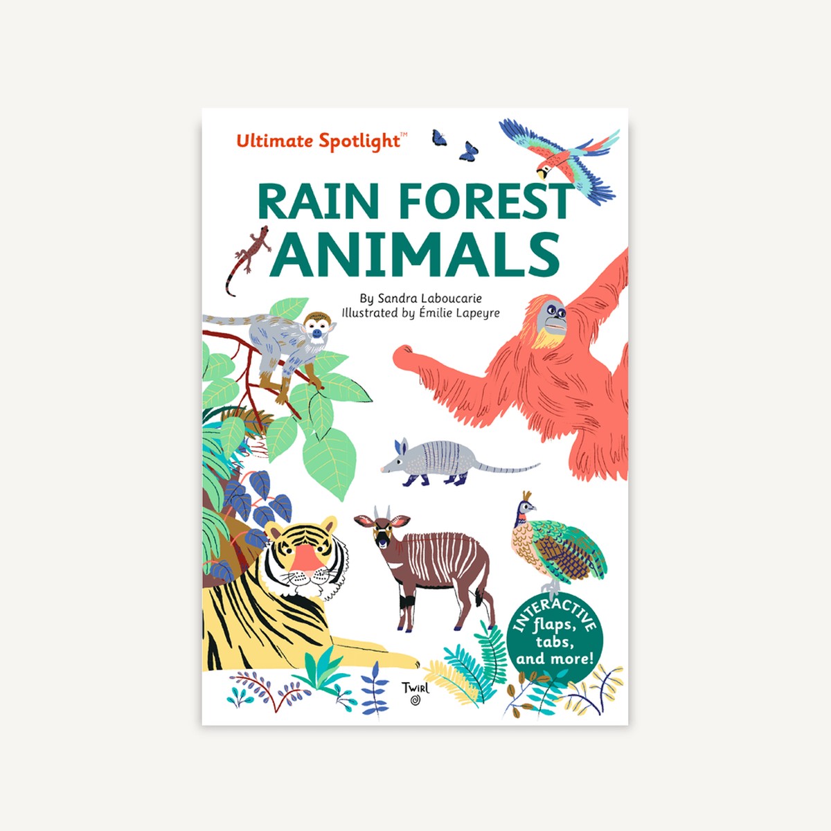 Ultimate Spotlight Rain Forest Animals