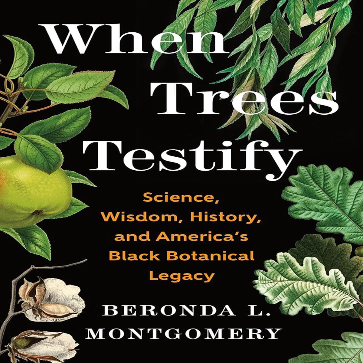 When Trees Testify Science Wisdom History and Americas Black Botanical Legacy by Beronda L Montgomery (Hardcover)