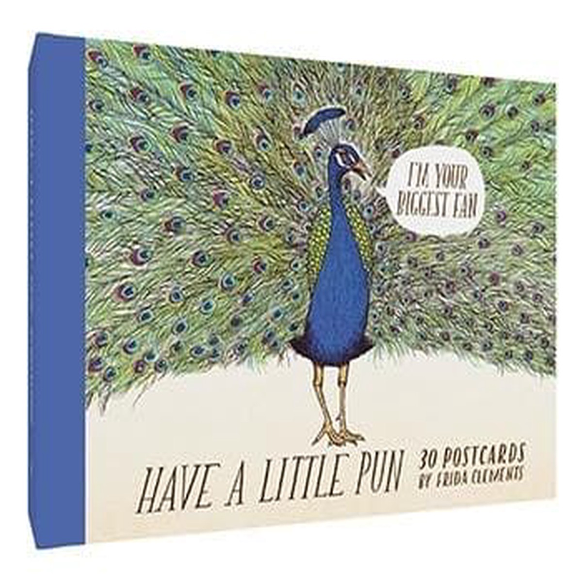 Have a Little Pun 30 Postcards