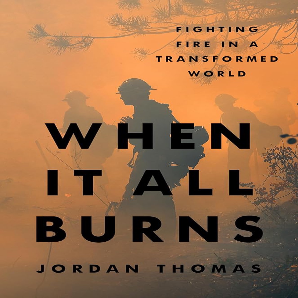 When It All Burns Fighting Fire in a Transformed World