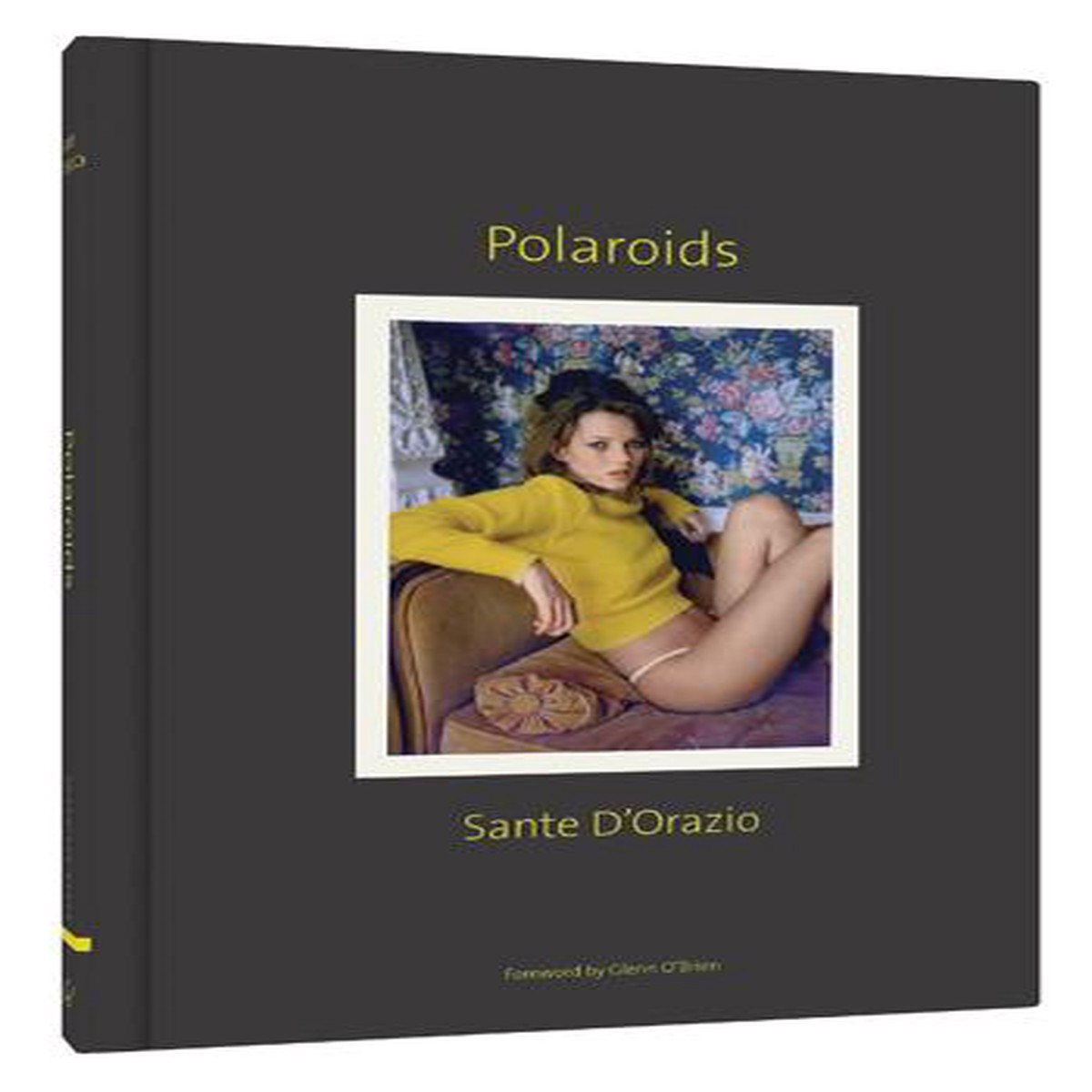Sante DOrazio Polaroids