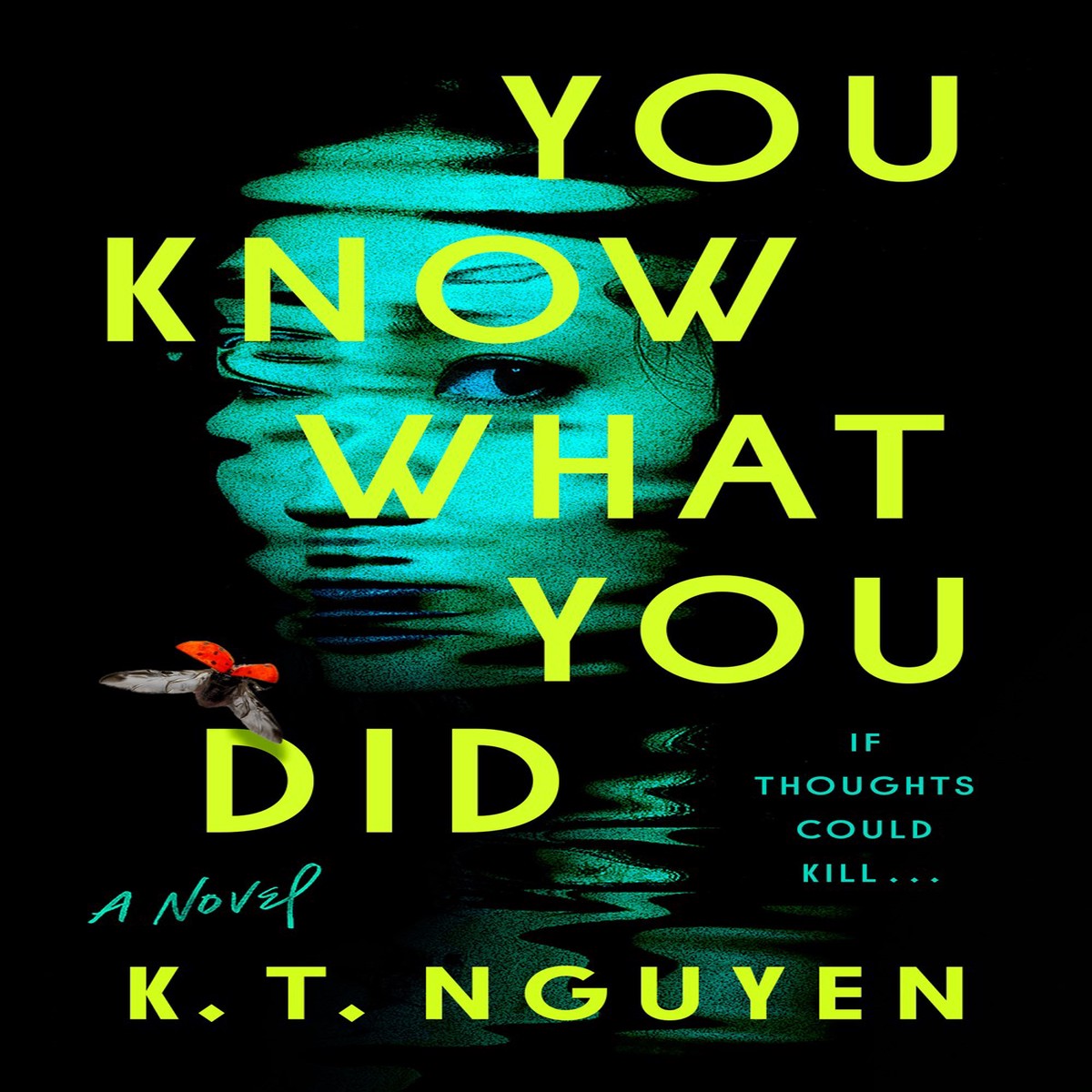You Know What You Did by by KT Nguyen (Hardcover)