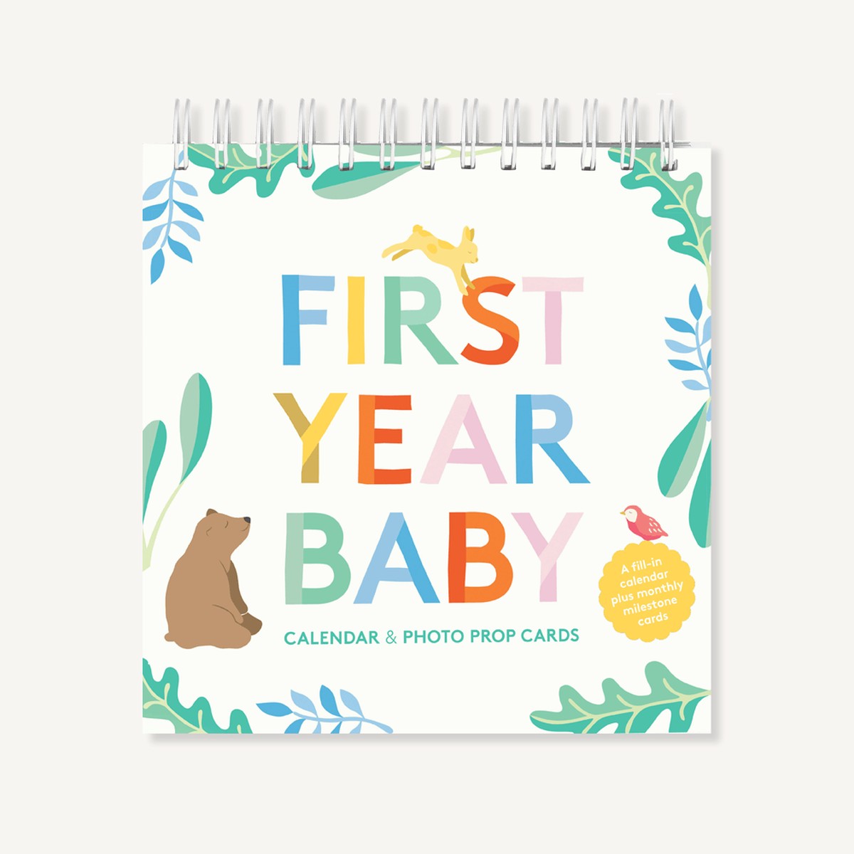 First Year Baby Calendar Photo Prop Cards
