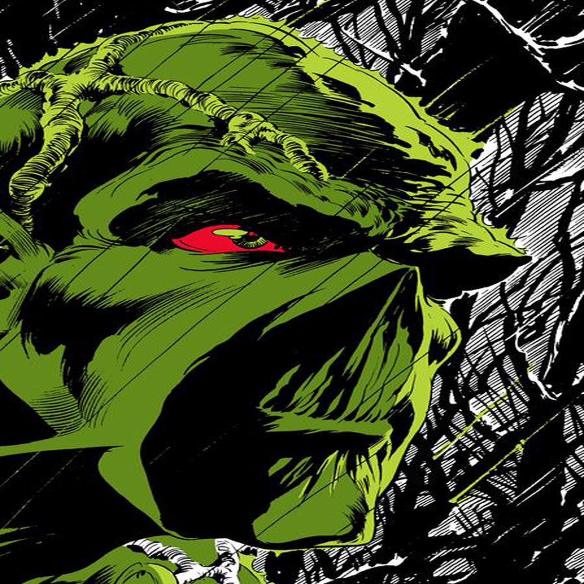 ABSOLUTE SWAMP THING BY LEN WEIN BERNIE WRIGHTSON HC