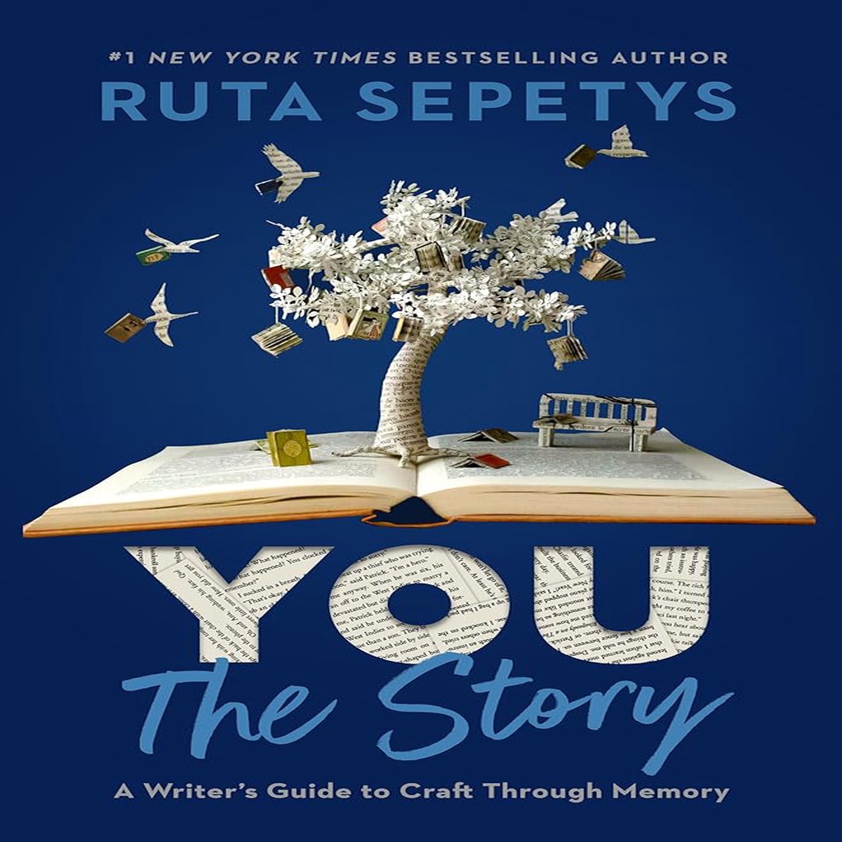 You The Story A Writers Guide to Craft Through Memory