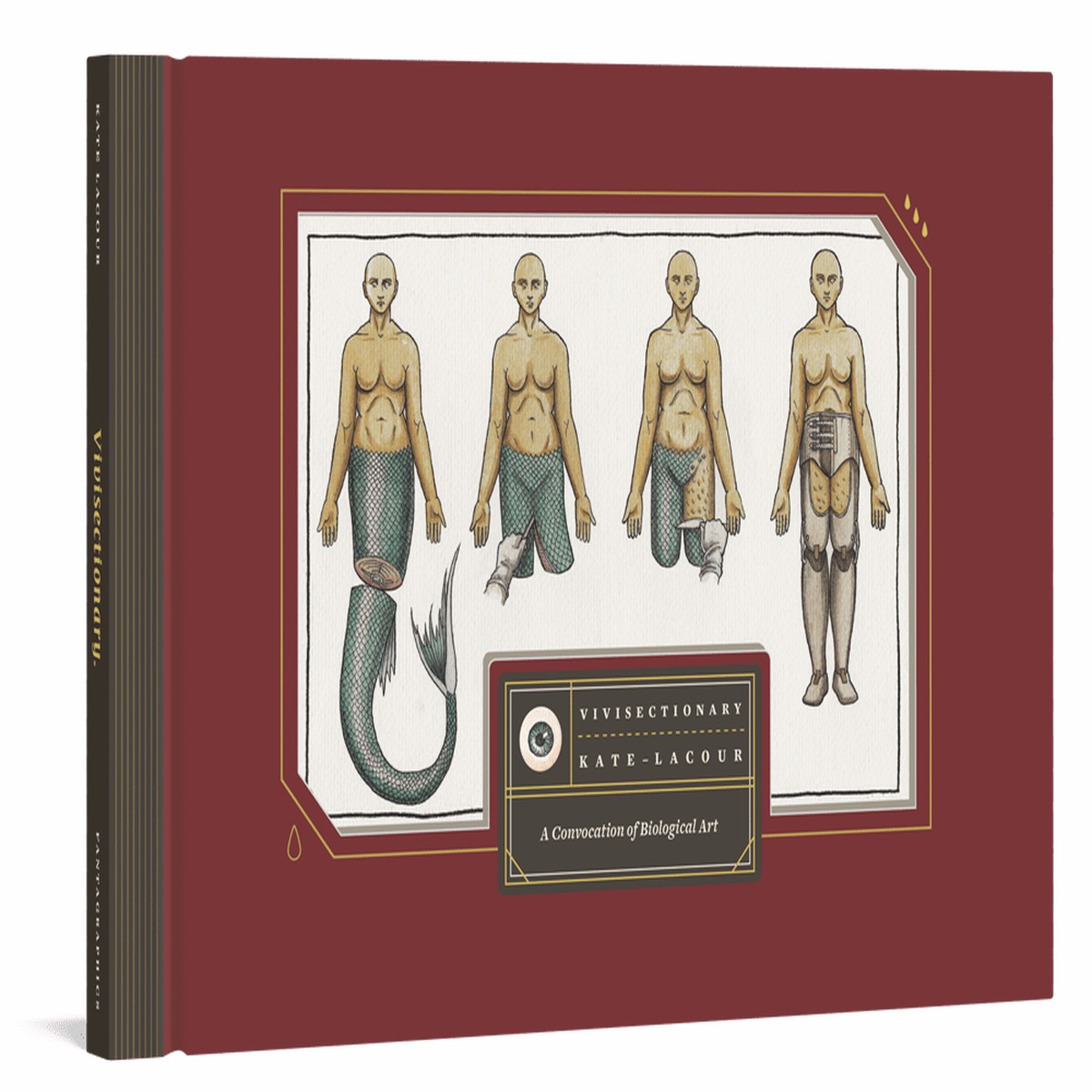 Vivisectionary