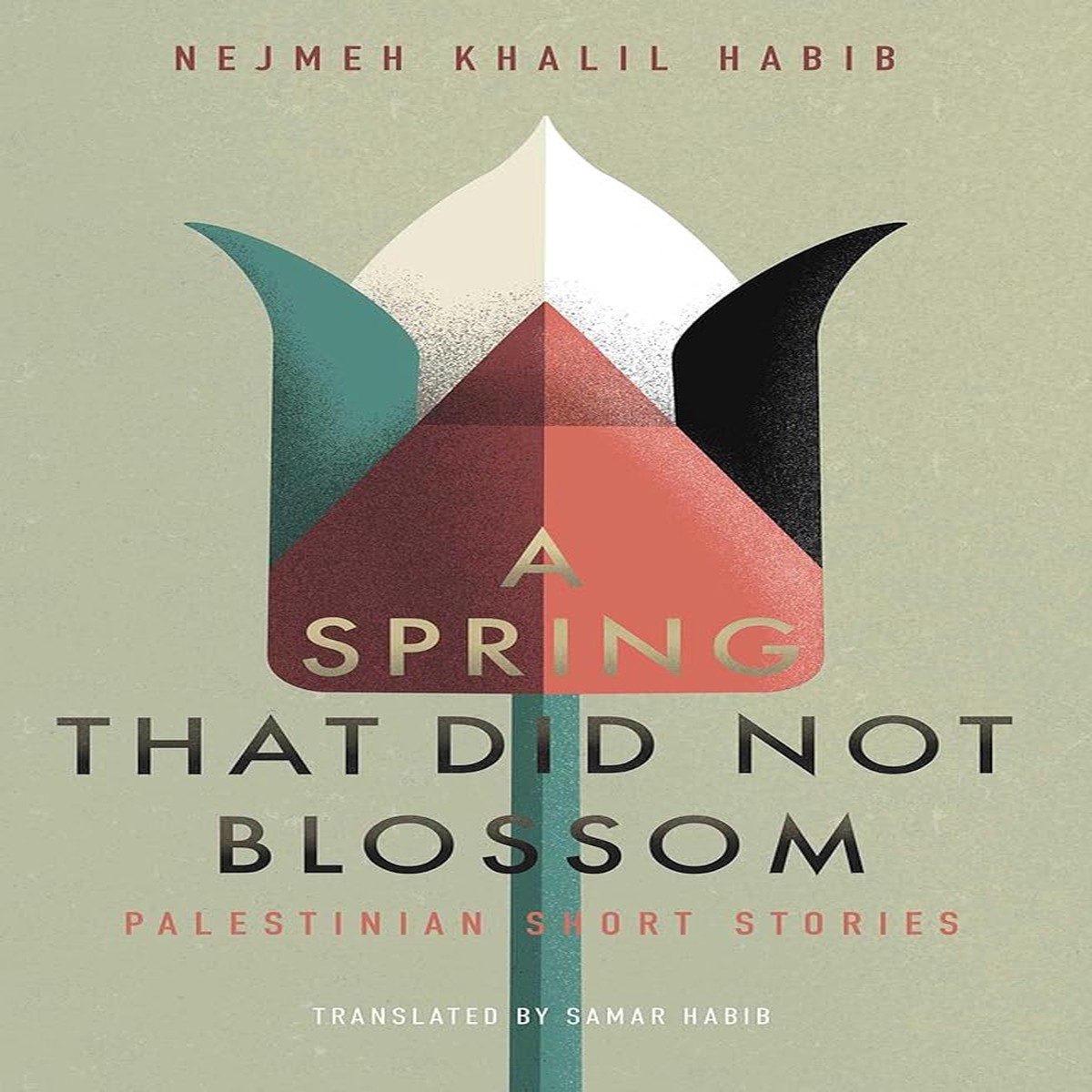 A Spring That Did Not Blossom Palestinian Short Stories by Nejmeh Khalil Habib (Paperback)
