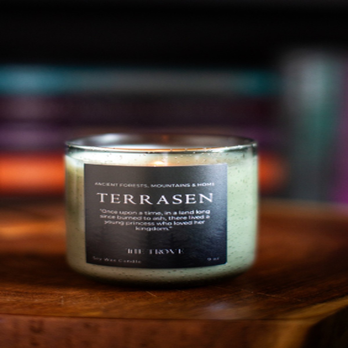 9 OZ CANDLE TOG - Terrasen