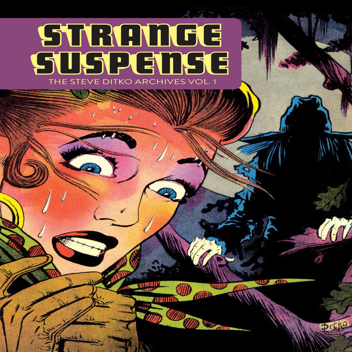 Strange Suspense The Steve Ditko Archives Vol 1