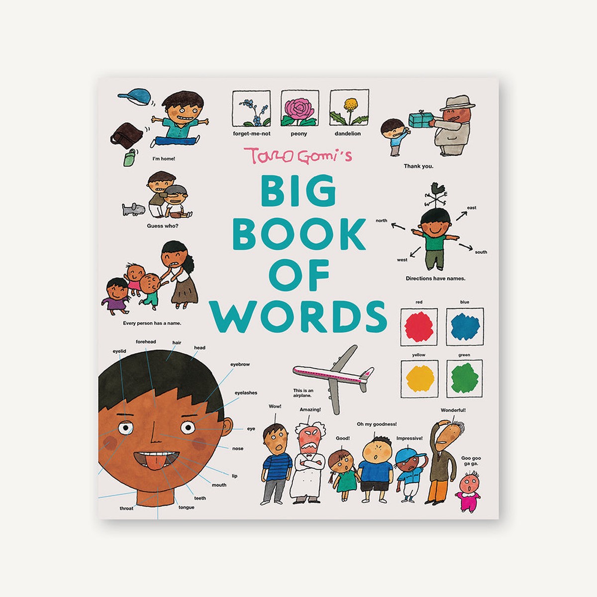 Taro Gomis Big Book of Words