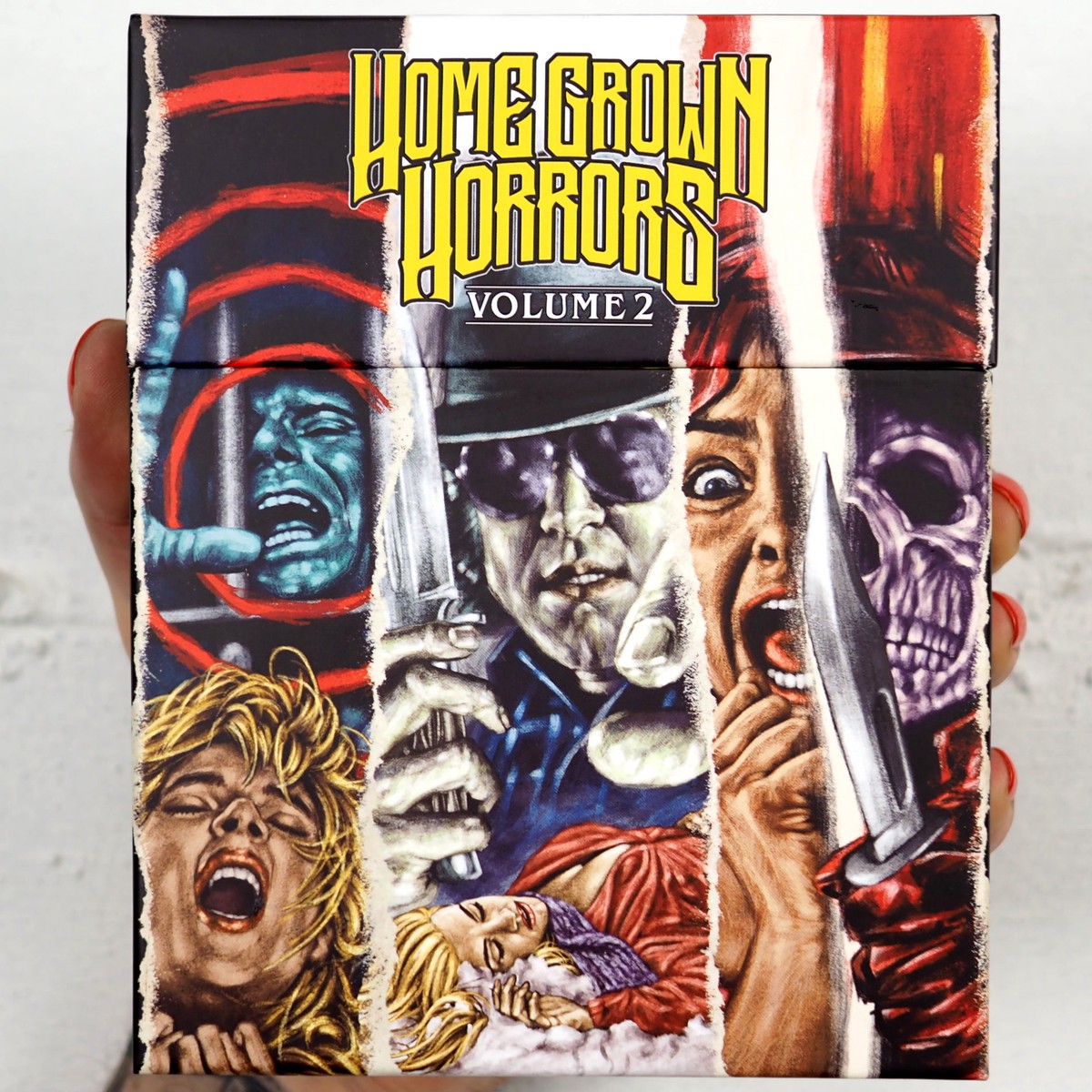 Home Grown Horrors Volume Two