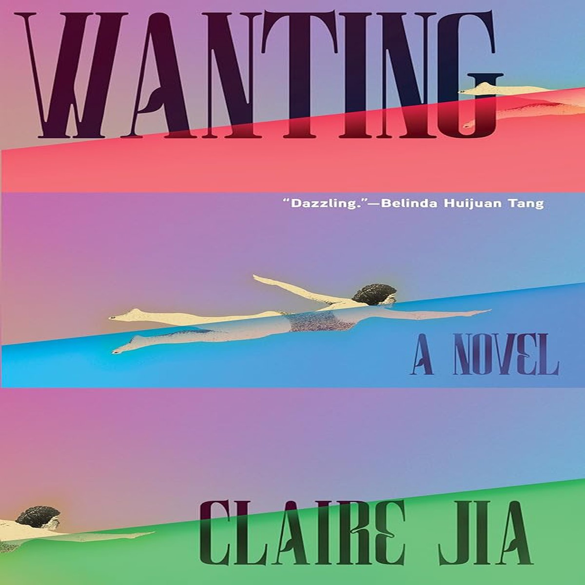 Wanting A Novel by Claire Jia (Paperback)