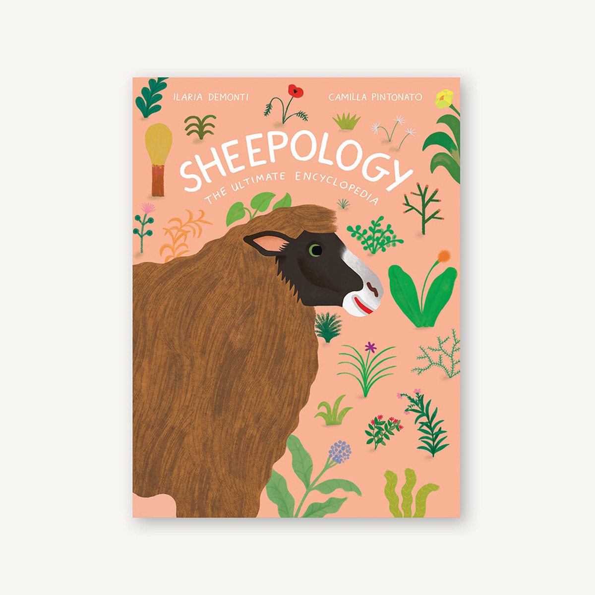 Sheepology