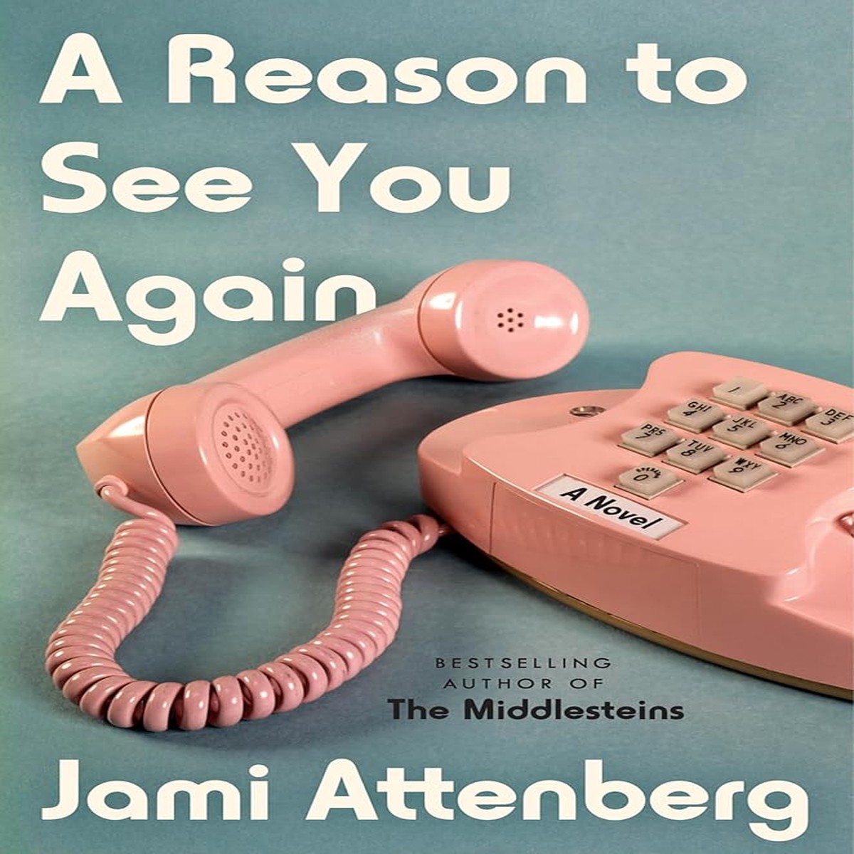 A Reason to See You Again A Novel