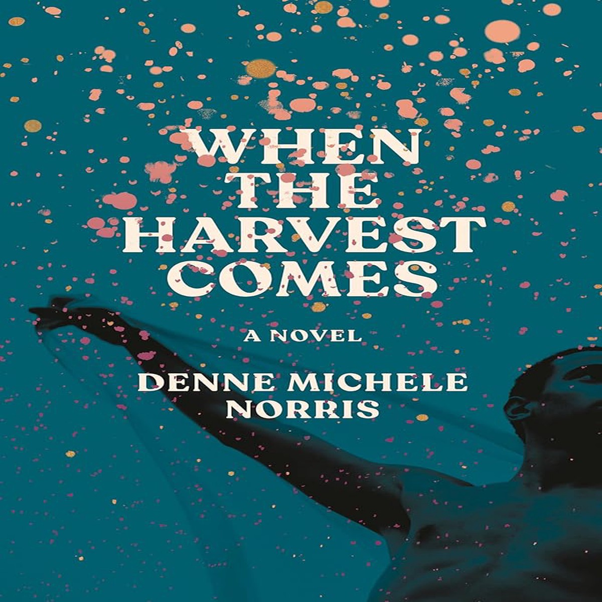 When the Harvest Comes A Novel by Denne Michele Norris (Hardcover)