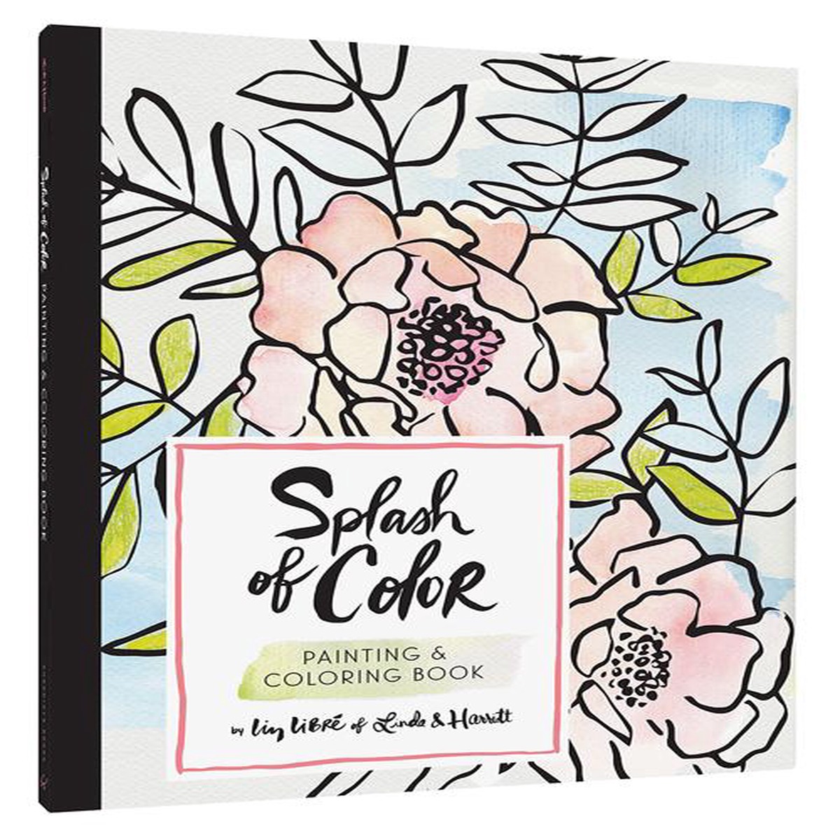 Splash of Color Painting Coloring Book