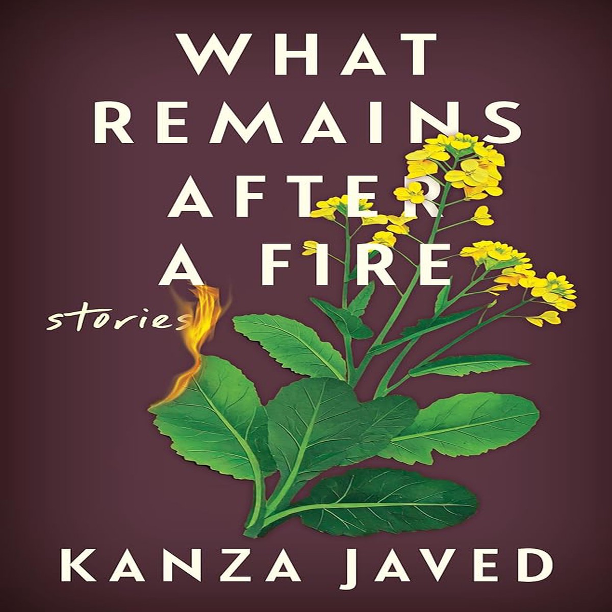 What Remains After a Fire Stories by Kanza Javed (Hardcover)