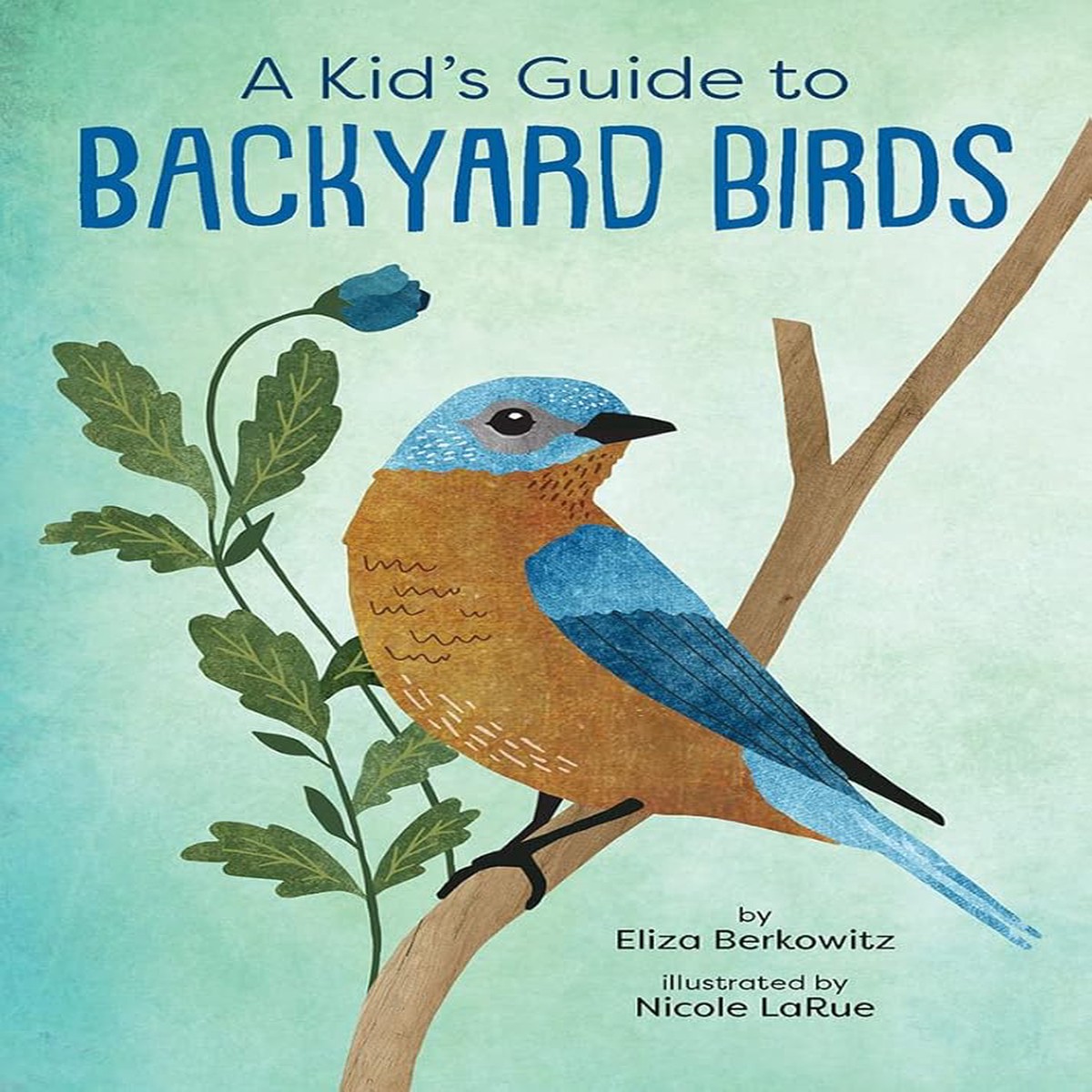 A Kids Guide to Backyard Birds